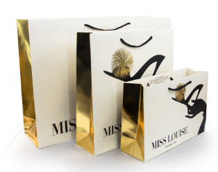 Luxury Shopping Paper Bags with Your Own Logo Printing Paper Bags